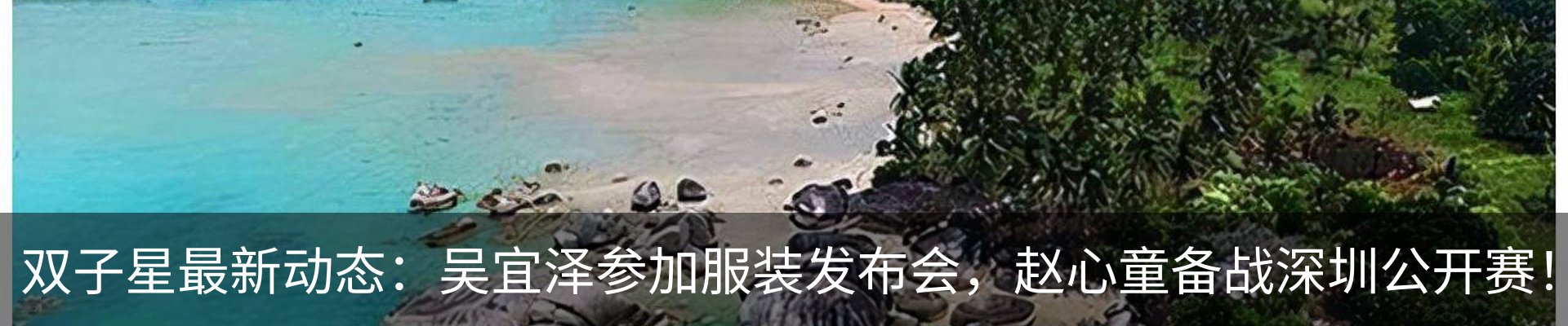 新闻动态