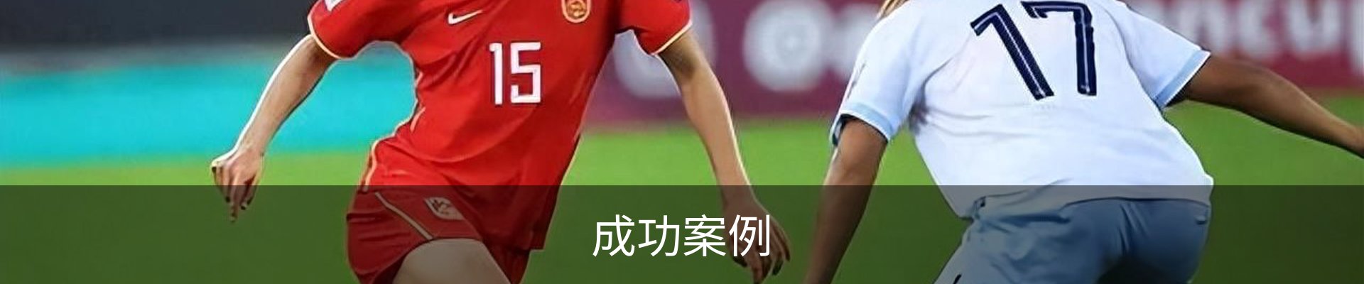成功案例