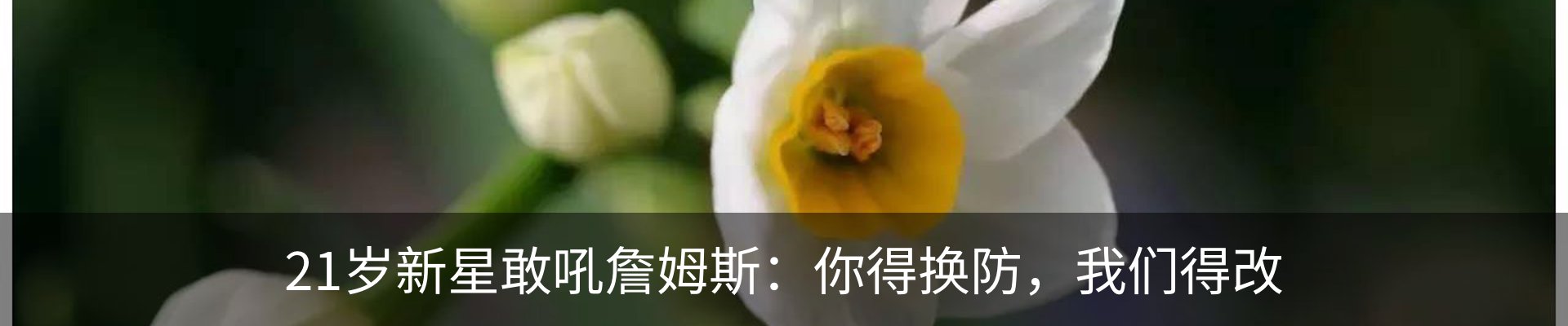 新闻动态